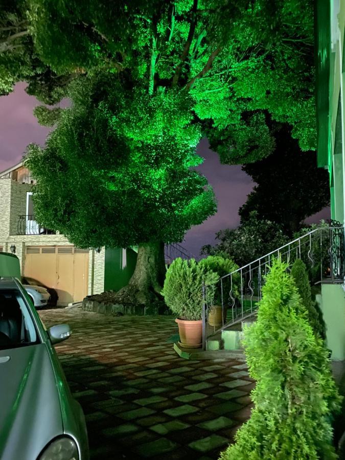 Apartment Green House Makhinjauri Bagian luar foto