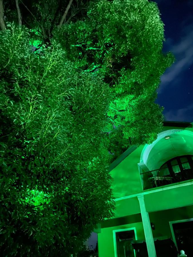 Apartment Green House Makhinjauri Bagian luar foto